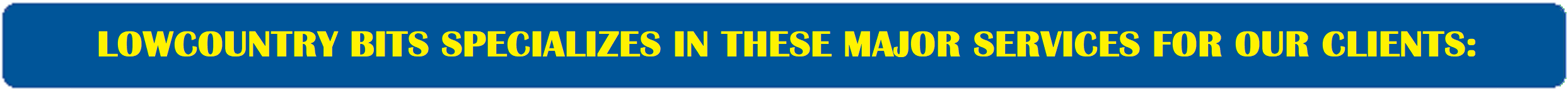 LowCountry BITS specializes in these major services for our customers